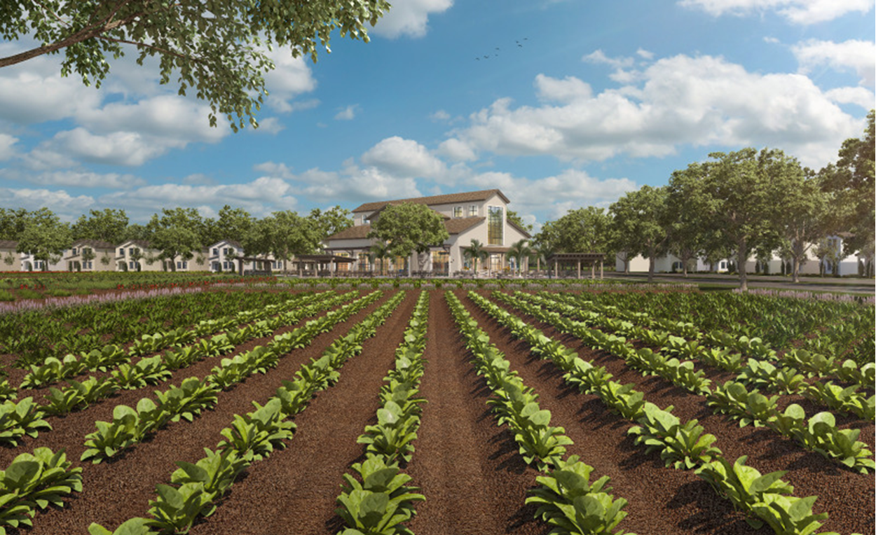 5 City Park Community Farm & Farmhouse_Image Provided by kRod Communications